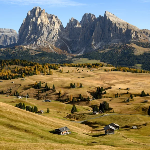 Alpe di Siusi Meadow