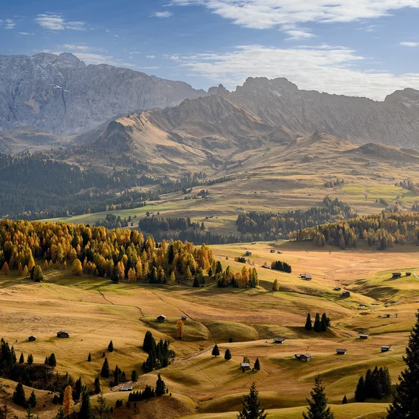 Another view of the Alpe di Siusi Meadow