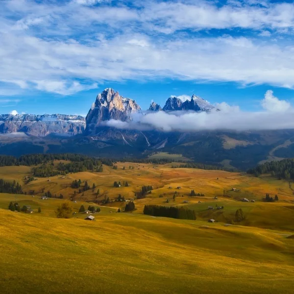 Wide angle view of the Alpe di Siusi (Seiser Alm) meadows with the Sciliar mountain
