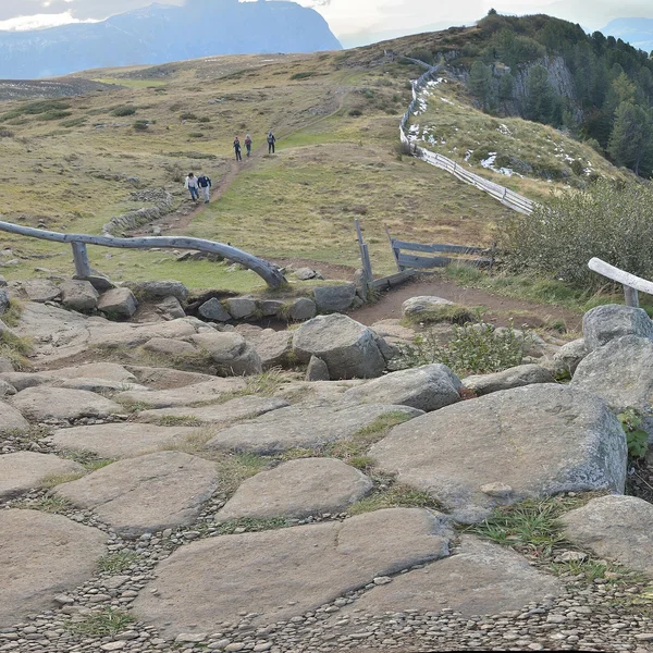 Hexenbänke (Witches’ Benches)
