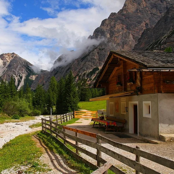 The open pastures of Malga Foresta
